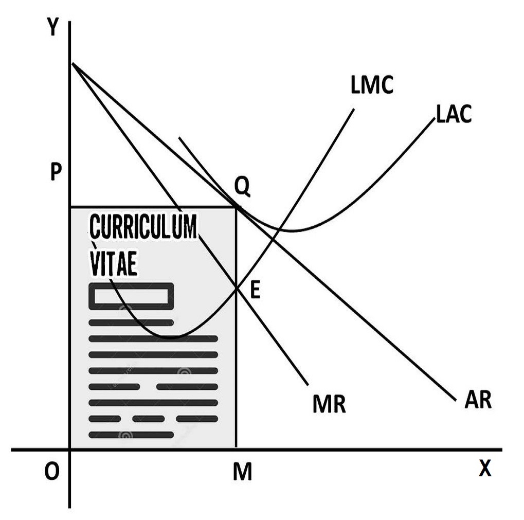 CV in formatul Managero